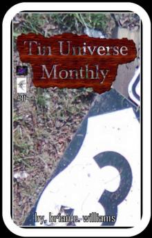      Tin Universe Monthly #11
