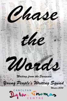      Chase the Words - Work from the Swansea Young People's Writing Squad