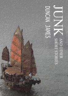      JUNK and other short stories