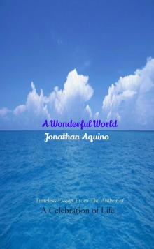      A Wonderful World