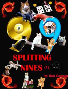      Splitting Nines (1)
