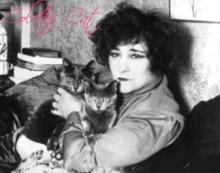     Colette's Cat
