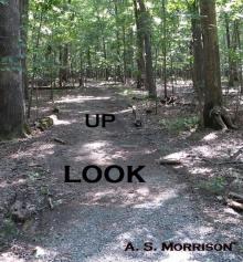      Look Up