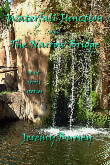     Waterfall Junction and The Narrow Bridge