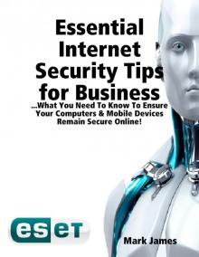      Essential Internet Security Tips For Business