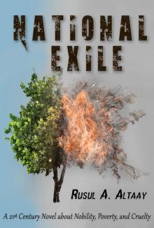      National Exile: A 21st Century Novel about Nobility, Poverty, and Cruelty