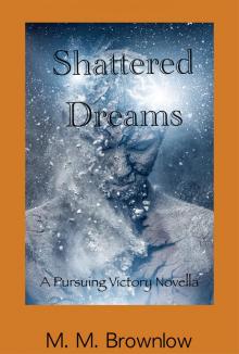      Shattered Dreams