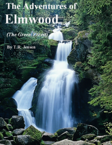      The Adventures of Elmwood (The Green Forest)