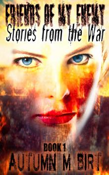      Stories from the War: Military Dystopian Thriller