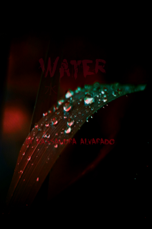      Water