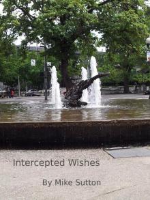      Intercepted Wishes