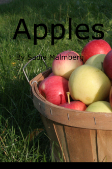      Apples
