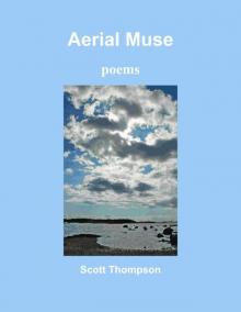      Aerial Muse: poems