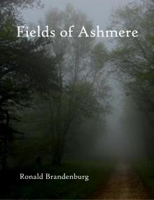      Fields of Ashmere