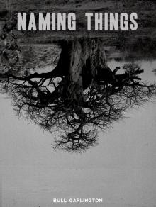      Naming Things