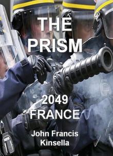      The Prism 2049