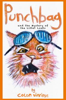      Punchbag and the Mystery of the Litter Louts