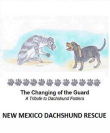      The Changing of the Guard