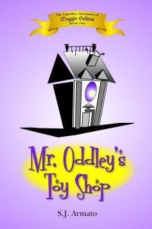      Mr. Oddley's Toy Shop