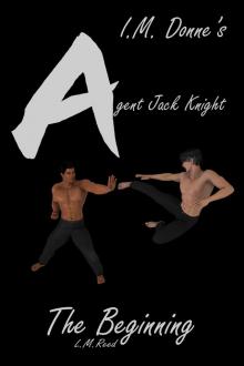      Agent Jack Knight: The Beginning