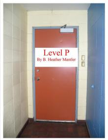      Level P