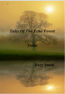      Tales Of The Echo Forest, Twins