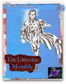      Tin Universe Monthly #2