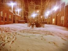      Borealis Carnival