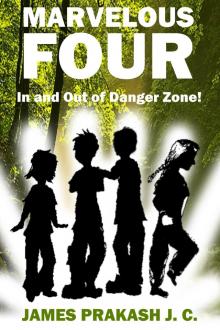      Marvelous Four - In and Out of Danger Zone!
