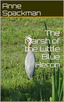      The Marsh of the Little Blue Heron