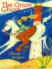      The Orion Ghost