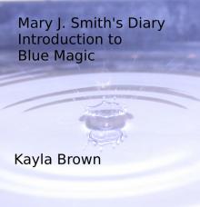     The Diary of Mary J. Smith