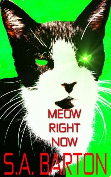      Meow Right Now