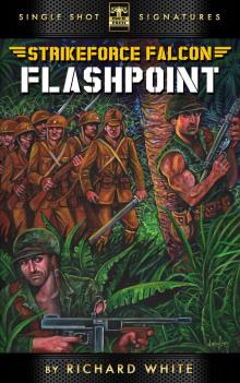      Tales of Strikeforce Falcon, Book 1: Flashpoint