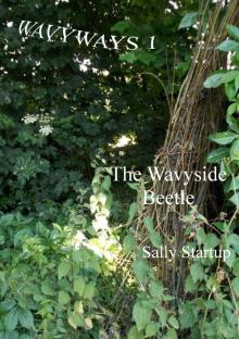      The Wavyside Beetle
