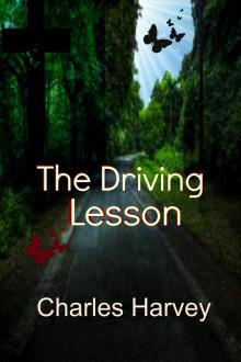      The Driving Lesson
