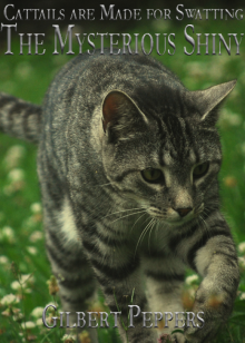      Cattails are Made for Swatting: The Mysterious Shiny