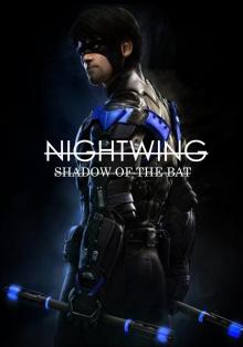      Nightwing: Shadow of the Bat
