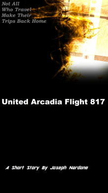      United Arcadia Flight 817
