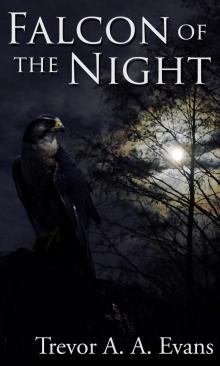      Falcon of the Night