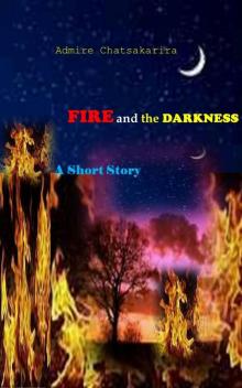      Fire and the darkness
