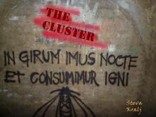      The Cluster