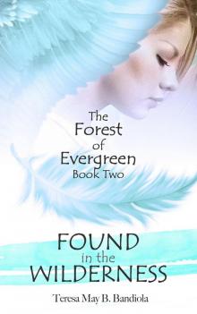      The Forest of Evergreen: Found in the Wilderness