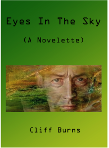     Eyes in the Sky
