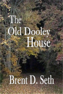      The Old Dooley House