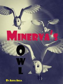      Minerva's Owl