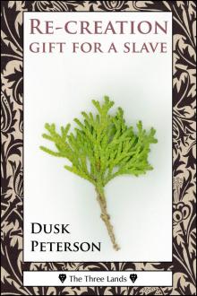      Re-creation: gift for a slave (The Three Lands)