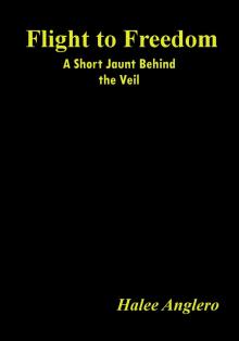     Flight to Freedom: A Short Jaunt Behind the Veil
