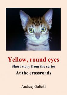      Yellow, round eyes - Mystery short story
