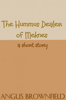      The Hummus Dealer of Meknes, a short story